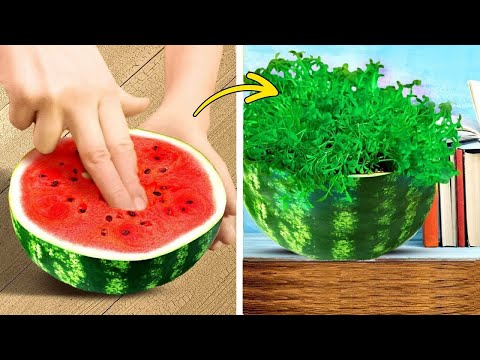 101 Gardening Hacks For Beginners 🌿 Tiny Garden in a Tiny Home