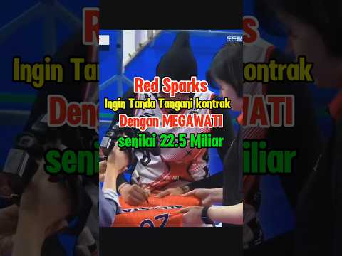 22.5 Miliar kontrak Megawati menanti Ke Depannya #megawatihangestri #redsparks #ligavolikorea