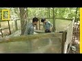 Climate Change and Its Impact on Ecosystems