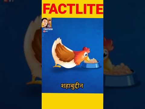 🐥 ise kahate Hain Ande ka Funda  // #shorts