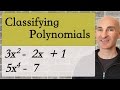 Classifying Polynomials: Degree and Terms