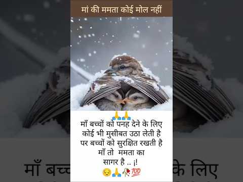 मां बच्चों को पनह देने के लिए कोई भी मुश्किल उठा लेती है#short