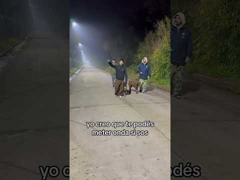 LA PELOTA #futbol #policia #seguridad #football #goles