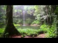 Ideias Centrais sobre a Natureza