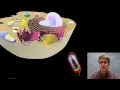 Mitochondria and Symbiotic Relationships