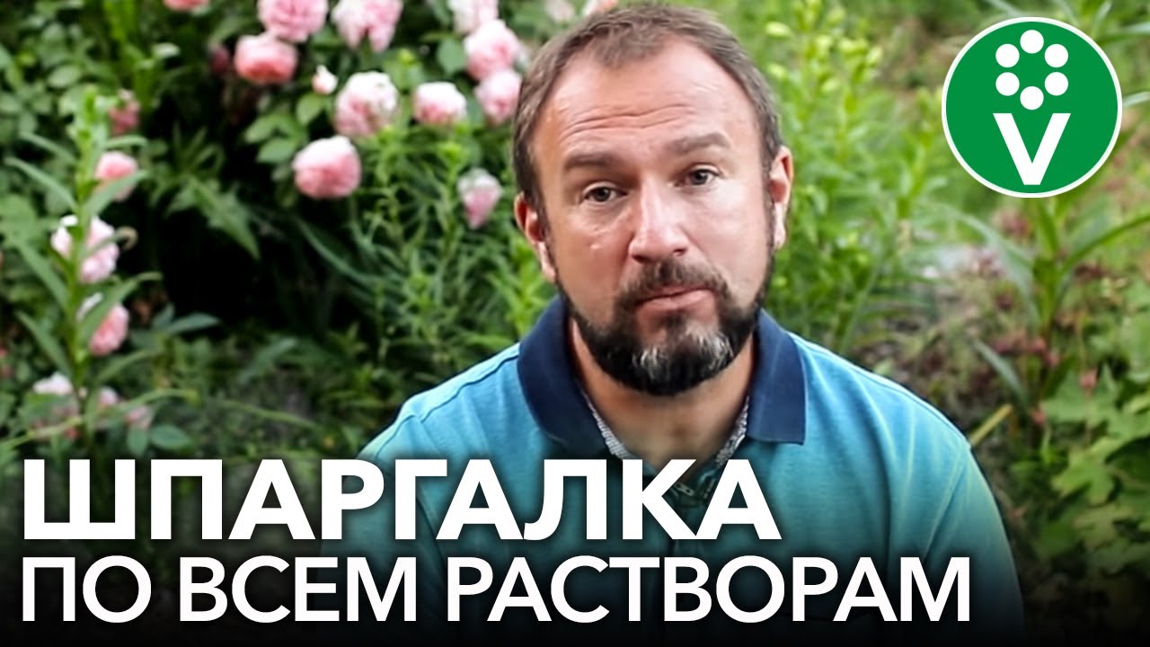 Как долго хранятся растворы препаратов? Янтарная кислота, дрожжи, сенная палочка, препараты меди.