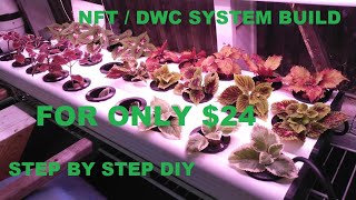 $24 NFT SYSTEM