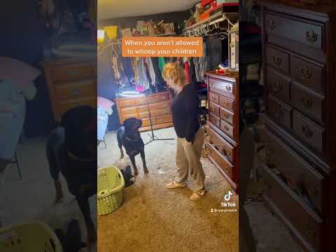 Dog saves kids!