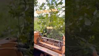 Uprooting A Tree With A Skidsteer #tree #hydraulic #case1840