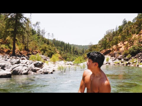 Summer with Los