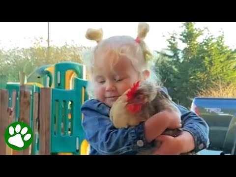 Girl really loves her rooster