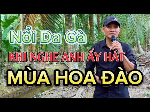 Mùa Hoa Đào - Anh nông dân hát mà cứ tưởng hàng xóm mở đĩa