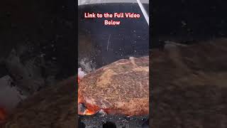 Did I Ruin this $150 Wagyu Cowboy Ribeye #EliteBBqCrew #elitebbqsmokers #Snakeriverfarms