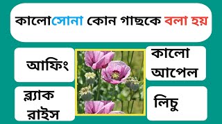 কালো সোনা কোন গাছকে বলা হয়| Bengali GK Study|Bangla gk video|Gk|Quize