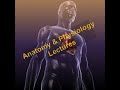 Human Body Systems and Terminology