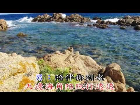 羅時豐 林淑容 陪伴妳到老 KTV