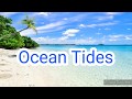 Understanding Ocean Tides and Their Causes