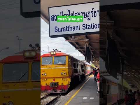 รอรถไฟจนเมา #funny #comedy #reels #เล่าเรื่องตลก #คลิปตลก