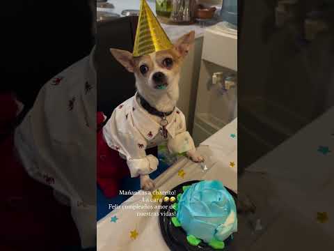 Feliz Cumpleaños a Charrito 💖