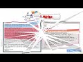 Email Writing and Feedback Techniques