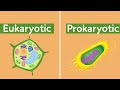 Understanding Cell Theory and Cell Types