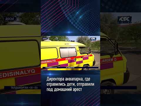 Директора аквапарка, где отравились дети, отправили под домашний арест