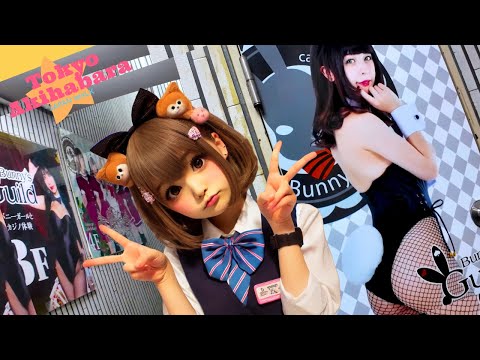 Akihabara experience🐶Tokyo Digest💖Non-stop 1 hour 4K