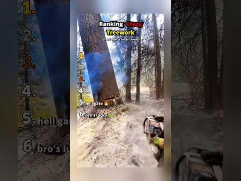 Ranking Crazy Treework