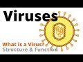 Understanding Viruses