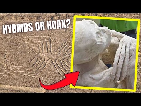 The 3 Fingered Nazca Mummies, Hybrids or Hoax? / Will Brown