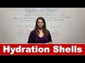 Water Molecule Interactions and Properties