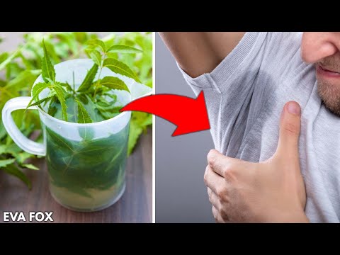 Throw out the deodorant. Here are 9 ways to stop body odor without it