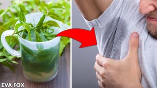 Throw out the deodorant. Here are 9 ways to stop body odor without it