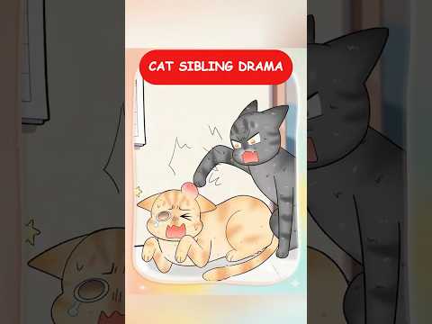 Cat Sibling Drama