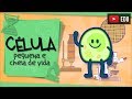 Células e suas Funções