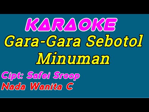 Gara-Gara Sebotol Minuman || Karaoke Dangdut || Nada Wanita