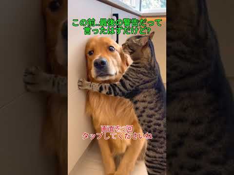 お前がずっと俺の悪口言いふらしてるんだって?