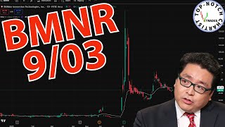📉 BitMine Immersion (BMNR): Temporary Pause or Fuel for the Next Leg Lower?