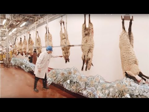 صناعاات مذهلة و إنتاج لا يعرف الحدود
