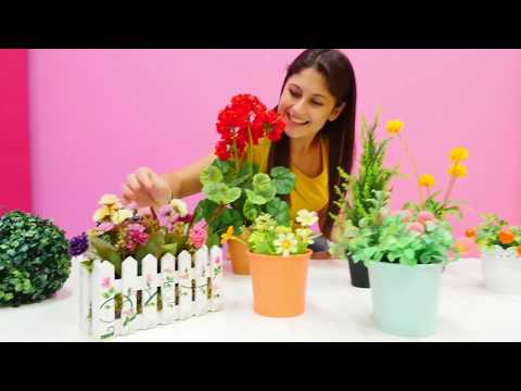 Ayşe ile en popüler videolar bir arada