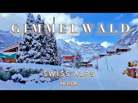 GIMMELWALD SWITZERLAND 🇨🇭 Snowy pedestrian mountain village / Stroll in Region Jungfrau 4K