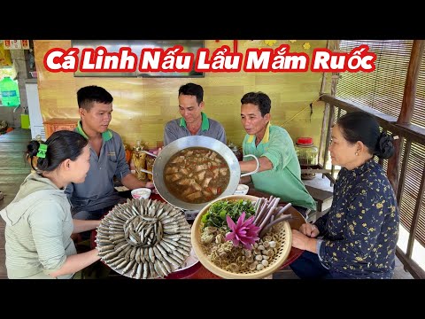 Đặc Sản Miền Tây • Cá Linh Nấu Lẩu Mắm Ruốc | Bông Lúa Đồng Tháp