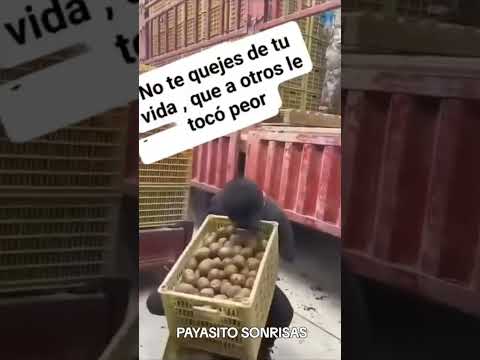 PAYASITO SONRISAS algo para pensar