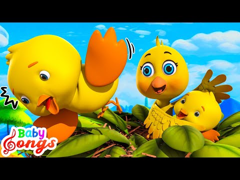 Five Little Birds song | New Compilation | Wheels On the Bus Song | Nursery rhymes & Kids Songs