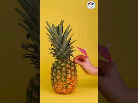 जगामध्ये आढळणारी काही अनोखी फळे // unique fruits found in the world...#shorts