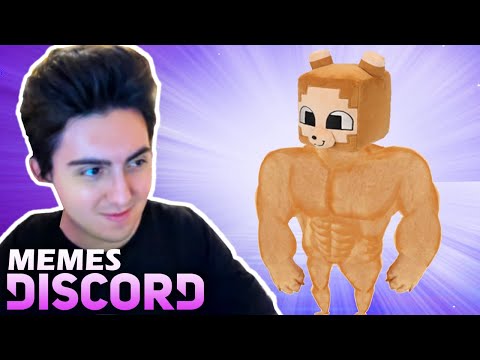 Mis subs me envían MEMES LAMENTABLES en Discord #3