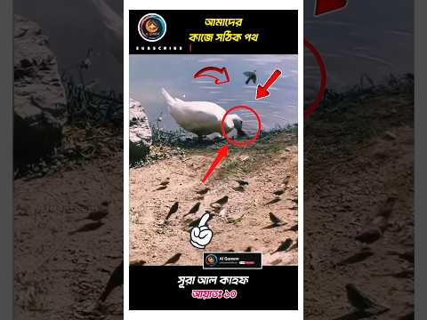 প্রকৃতির বাস্তবতা!🦆🐦জীবন ও মৃত্যু আল্লাহর হাতে ☝️ #shorts #quran #foryou #motivation #nature