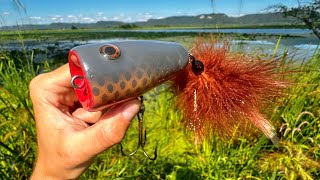 Big Fish Love This Giant Topwater!