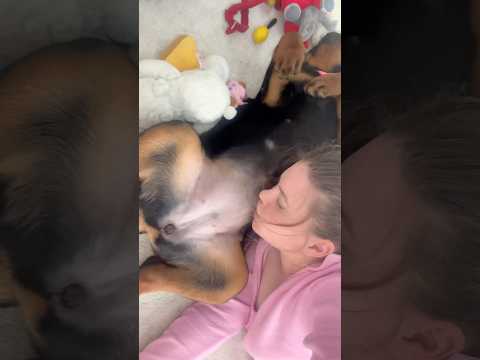 Her reaction at the end ๐ญ Rottweiler Love