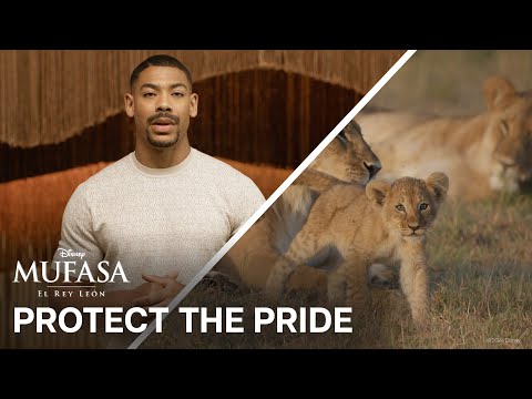 Mufasa: El Rey León | Protect the Pride | HD